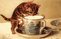 CHATCHAT LU !!!    BONNE SOIREE...