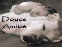 MERCI....a+....