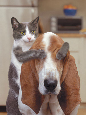COUCOU c'est qui ?