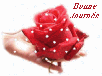 Aimer les FLEURS...
