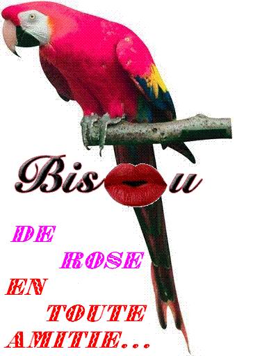 SALUT...