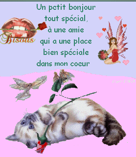 Un Pti' Mot Spécial...Bisss les Ami