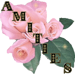 Amitiés les Ami