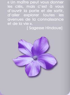Bonne Découverte à tous...