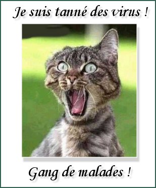 Pauvre Minou...il a une drôle de tête...!!! Virus!!!