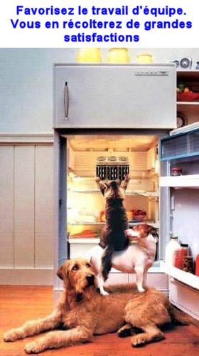 HUMOUR...