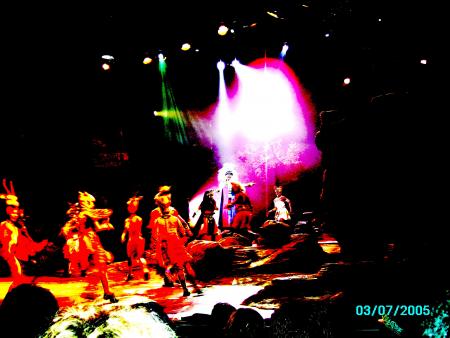 Spectacle du Roi Lion...