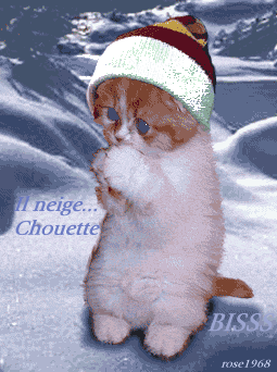 Il neige les Ami