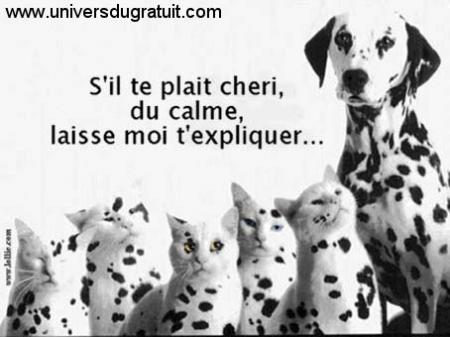 Calme...Pas de panique!