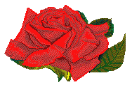 Au nom de la Rose...