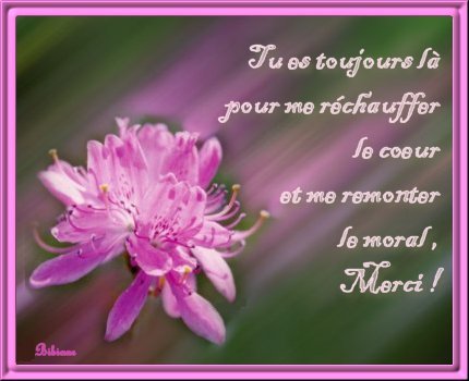 Merci...