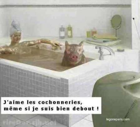 Cochonneries!!!
