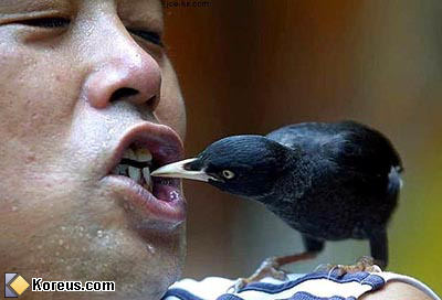 Un Cure-Dents ...!!!