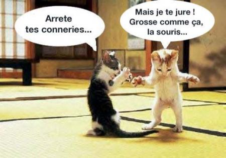 Conneries!!!