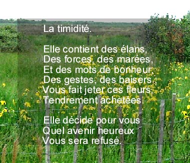Timide...!!!