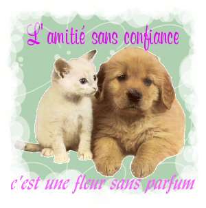 Confiance...!