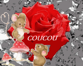 Bisoussssssssss les Ami