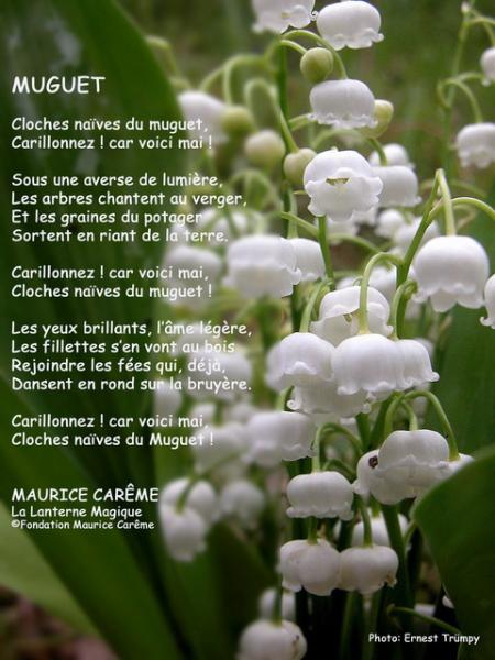 Pti'  Cloches naîves du Muguet !