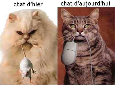 Une PTI' Souri!!!             Bisous à Tous...Bisssssssssss