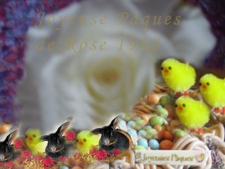 Pour Vous...!!!  KIKOUSSS