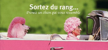 Wowww  ROSE...
