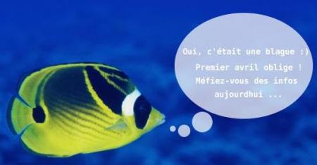 Aujourd'hui!!!