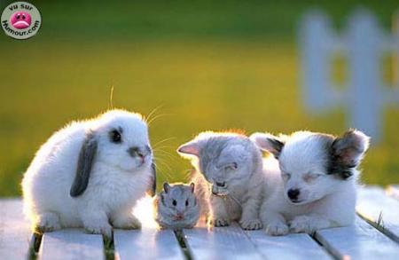 Amitié mes Pti' Lapins!!! Mimisss...