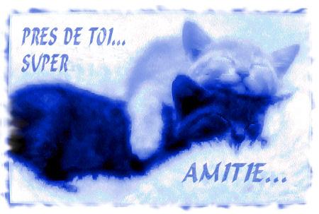 Passez un Bon Jeudi Bisous