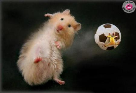 Attention un Pti' Cou de Ballon!!!