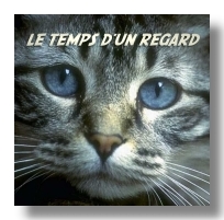 COUCOU...