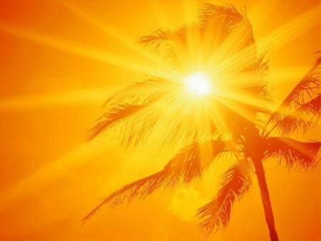 Profitons du Soleil. Bisss à Tous...