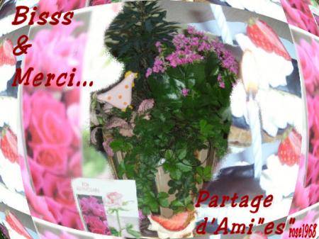 Partage d'Ami