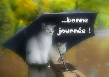 Bonne Journée les Ami