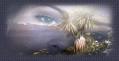 SES YEUX