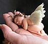 Petit ANGES du PARADIS.