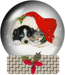 C'est trop MIMIS...