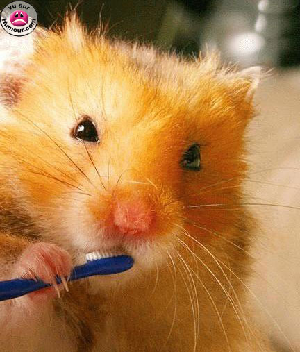 !!! ET  LES  DENTS!!!