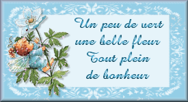 QUE  DU BONHEUR POUR  TOUS...